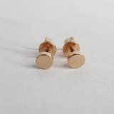 Серьги из золоченого серебра из серебро